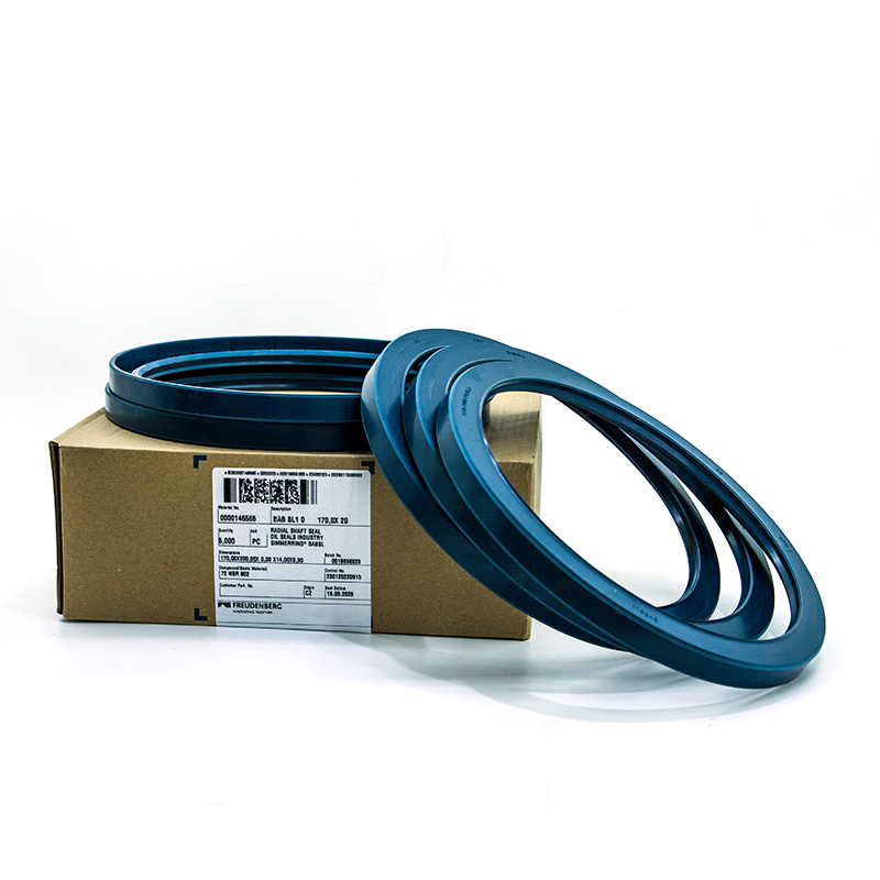 Dichtomatik专业的密封解决方案