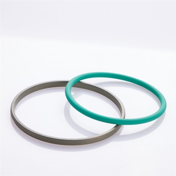 特瑞堡trelleborg旋转格莱圈GR4300160-T47