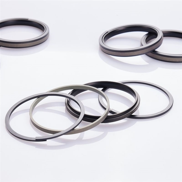 Busak+Shamban旋转格莱圈GP6500200-T47